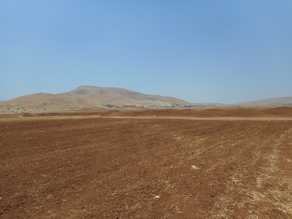 The second dirt wall in the dry zone 23.6.2016 Jordan Valley.jpg