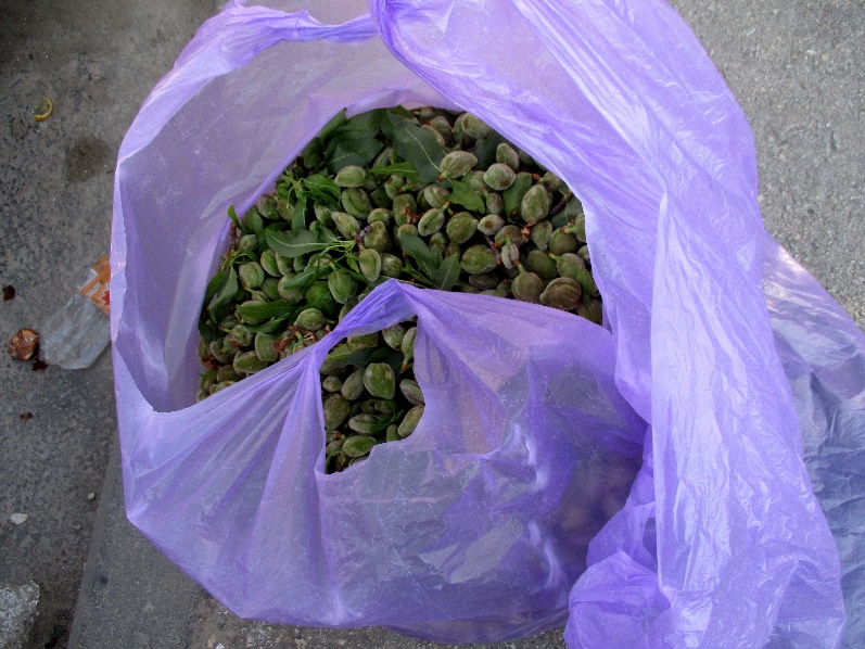 green almonds 26.3.17 Qalandiya Tamar Fleishman.jpg