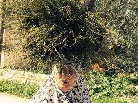 אשה פלסטינית ביאסוף, עם התוצרת שאספה בשדה