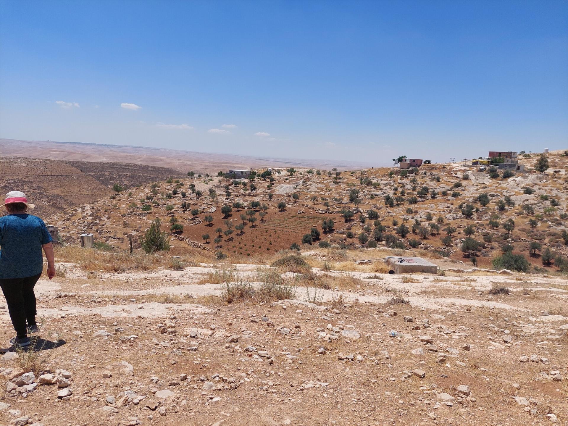 מסאפר יטא - חקלאות בח'לת אל-דבע
