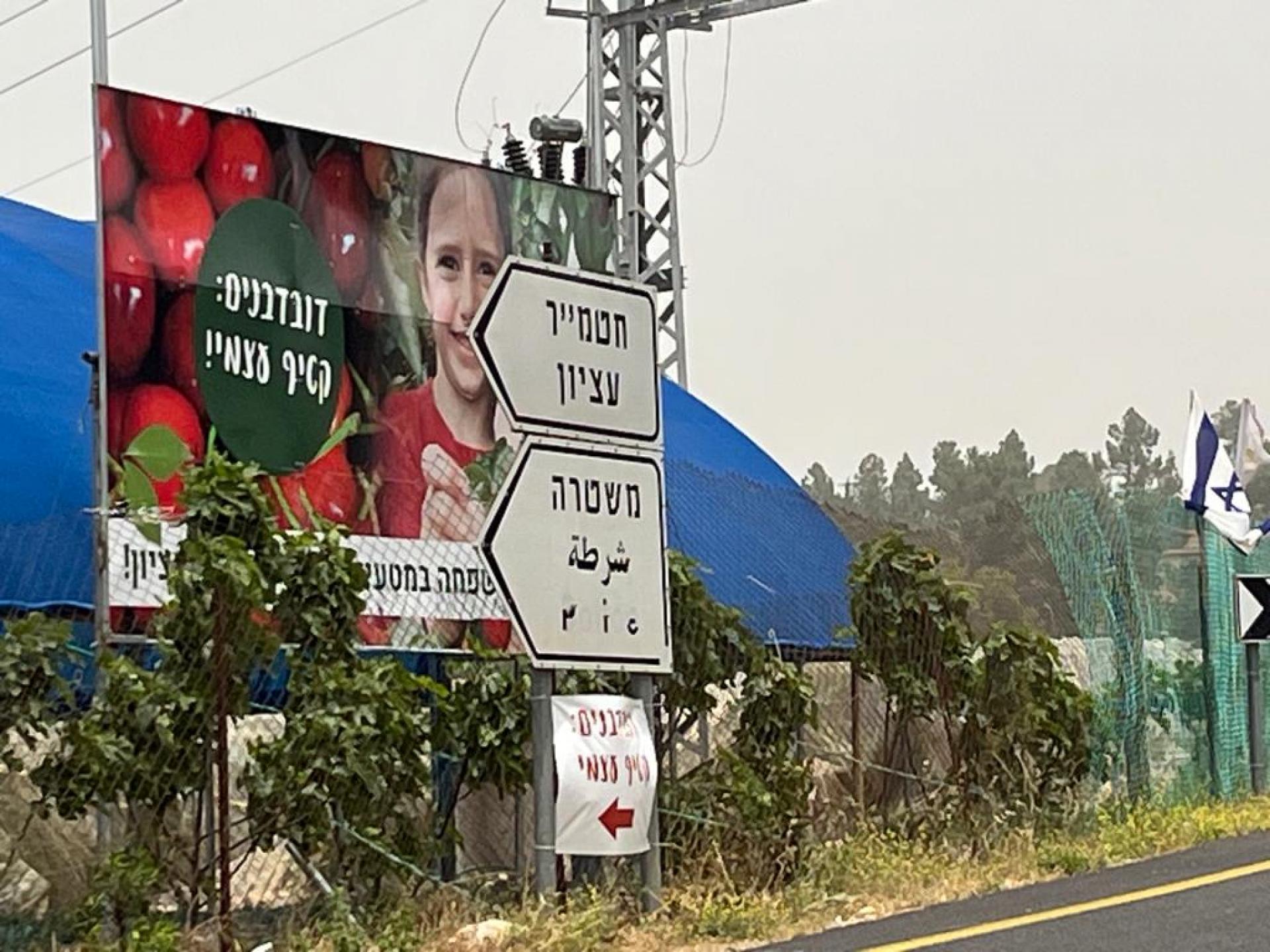 Etzion DCL - cherries grown on stolen land