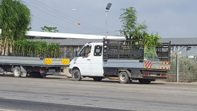 משאיות עם שתילים במחסום