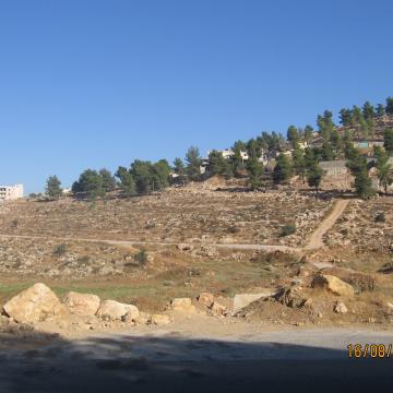 Wadi Ash Shajina 16.08.07