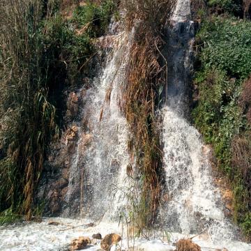 05.02.15 Wastewater in the Barkan industrial zone שפכי אזור תעשיה ברקן