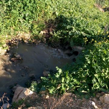 05.02.15 Wastewater from Palestinian villages 