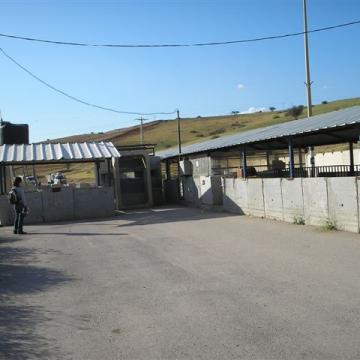 Hamra checkpoint 27.03.08