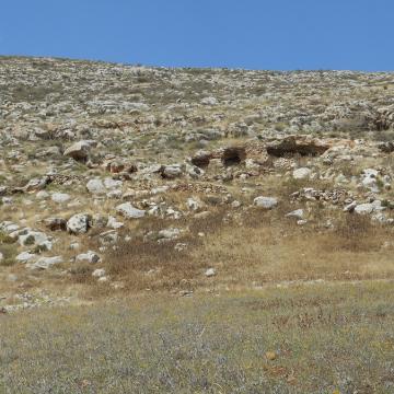 05.05.16 Jordan Valley בקעת הירדן
