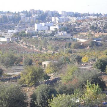 Hebron 11.11.08