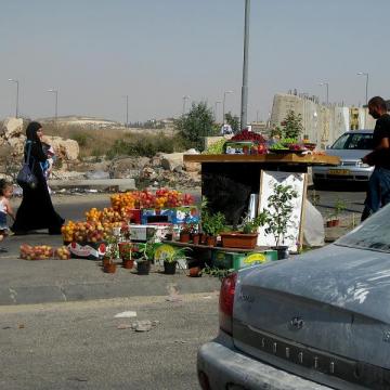 Qalandiya checkpoint 31.05.09