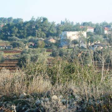 Tura/Shaked checkpoint 26.11.09