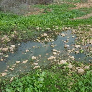 Sewage flowing from Sha'arei Tikva settlement  