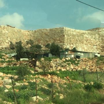The wall was built on the olive trees