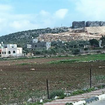 The wall abuts Deir Balut buildings