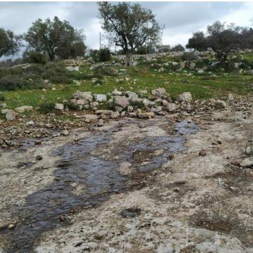 רחבת סלע לפני מקאם נבי אנבר - אתר הרצח של הפלסטינים