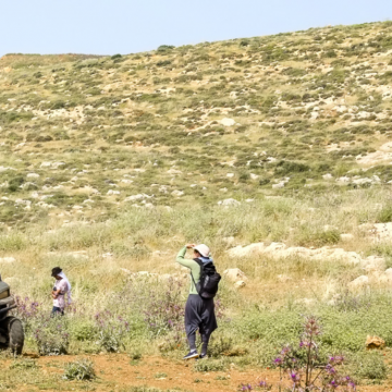 בקעת הירדן, רשאש: המתנחל אלחנן מגיע על הטרקטורון עם בנו הקטן אל הרועים הפלסטינים