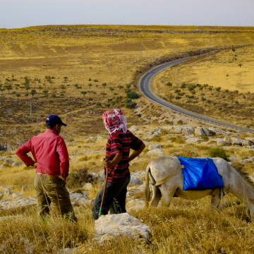 בקעת הירדן דיר ג'ריר: הרועים הפלסטינים מתבוננים באדמות המעובדות שלהם בעמק