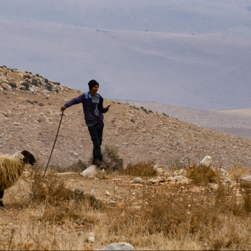 רועה בדואי צעיר צופה בשלווה בעימות עם המתנחלים