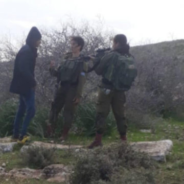 בקעת הירדן: חיילת משוחחת עם רועה צעיר, השנייה מכוונת אליו נשק טעון