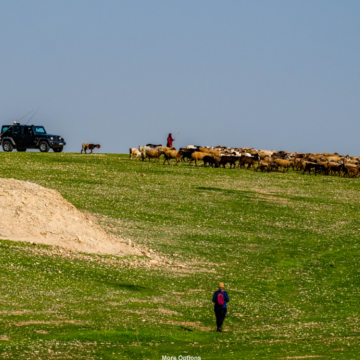 עוג'ה, בקעת הירדן: ג'יפ צבאי רודף עדר פלסטיני כדי להרחיקו מהמאחז הבלתי חוקי הסמוך