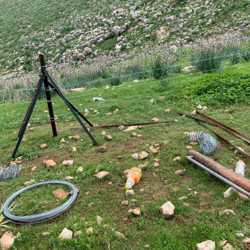 בקעת הירדן: מתנחלים סוגרים את המרעה בחוטי תיל כדי למנוע מרועים מקומיים לרעות את עדריהם