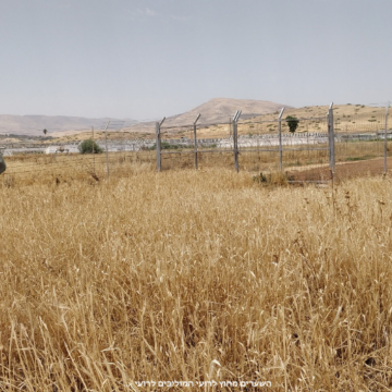בקעת הירדן: השערים הנעולים על הדרך המובילה אל מחוץ להתנחלות רועי