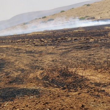 בקעת הירדן: שריפות פרצו בשדות חומסה