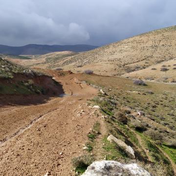 ליווי רועים בפארסייה