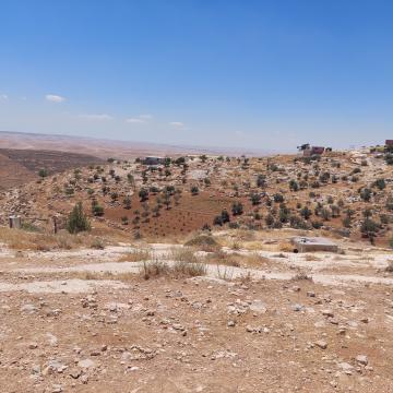 Masafer Yatta- agriculture in Khalet al-Daba'