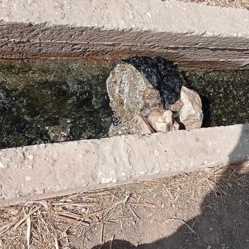 פסאיל: אבנים סותמות את זרימת המים