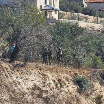 Duma: settlers, under the auspices of the army, expel the Palestinian harvesting their olives 