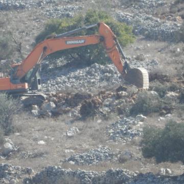 Burin: A tractor uproots olive trees