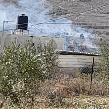 Burin: settlers burn olive trees