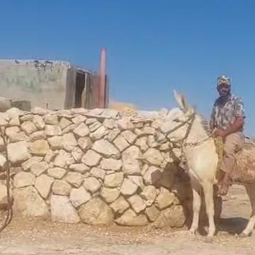Safai South Mount Hebron: Only with a donkey can they try to bring food