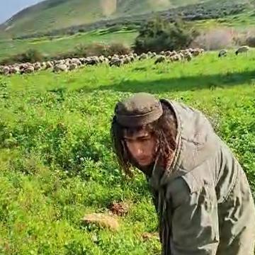 אל אל-פאריסייה בקעת הירדן: נער ממאחז 