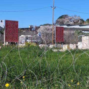Awarta - almond trees are blooming