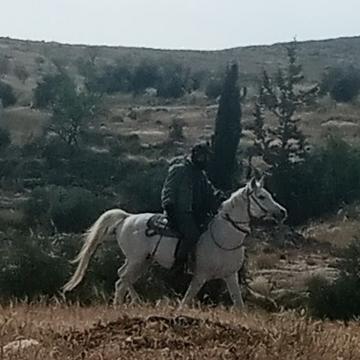 A-Tuwani: A settler from Havat Maon on the horse