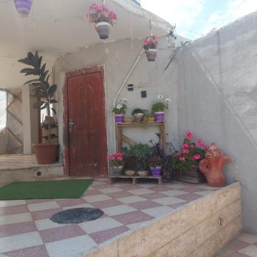 Abu Qubeita - Cultivate their garden despite the difficulties