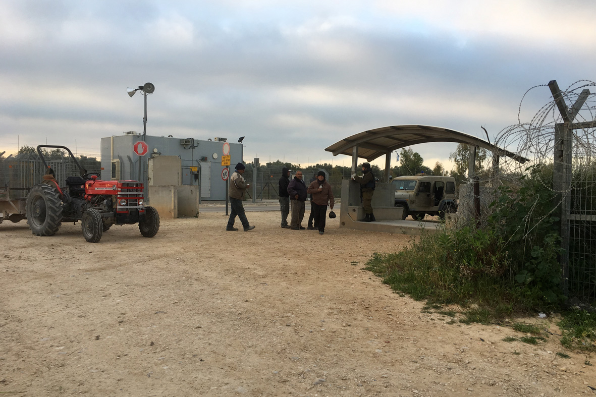 26.3.17 Dier al ghusun agricultural c.p_0.jpg